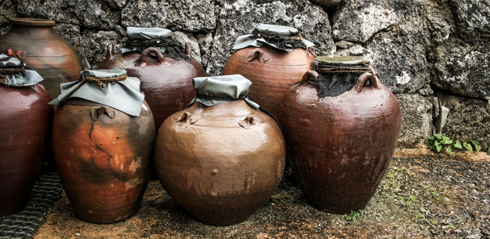 Een crash course in sake